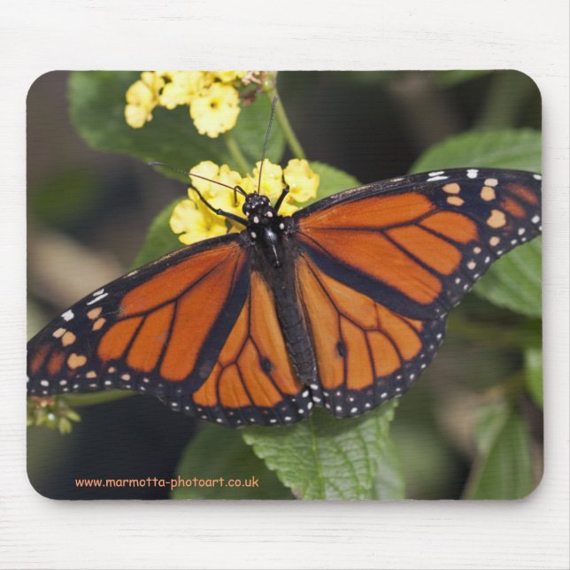 Mousepad Tapete de Rato Monarca (Frente)