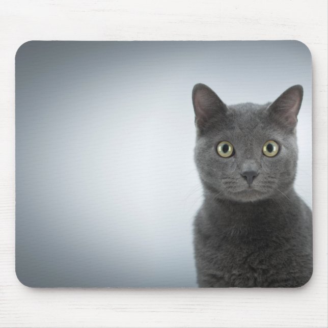 Mousepad Tapete de ratos gato (Frente)