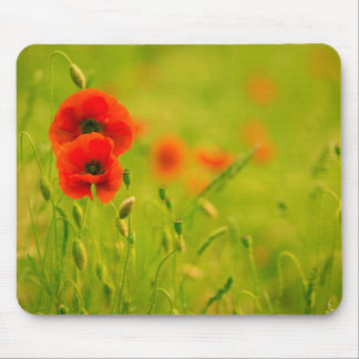 Mousepad Tapete de ratos, Primaveras e flores de papoila