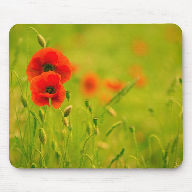 Mousepad Tapete de ratos, Primaveras e flores de papoila (Frente)