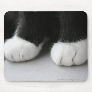 Mousepad Tapete do rato