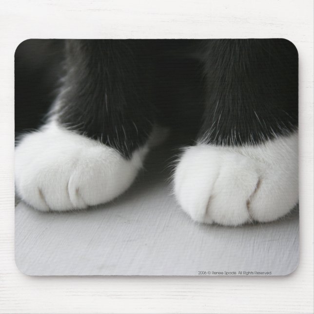 Mousepad Tapete do rato (Frente)