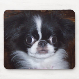 Mousepad Tapete do rato
