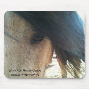 Mousepad Tapete do rato