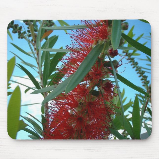 Mousepad Tapete do rato (Frente)