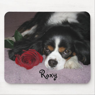 Mousepad Tapete do rato