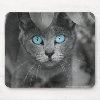 Mousepad Tapete do rato