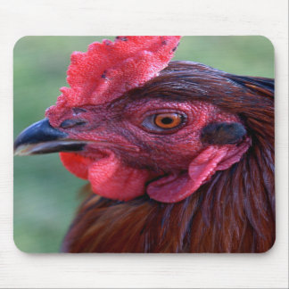 Mousepad Tapete do rato