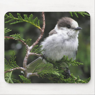 Mousepad Tapete do rato