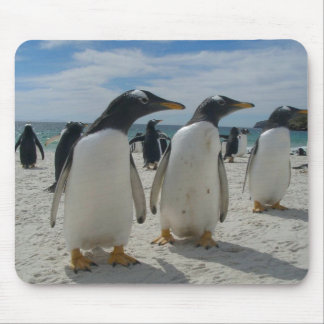 Mousepad Tapete do rato 19 do pássaro