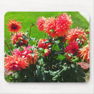 Mousepad Tapete do rato alaranjado vermelho de Dhalia