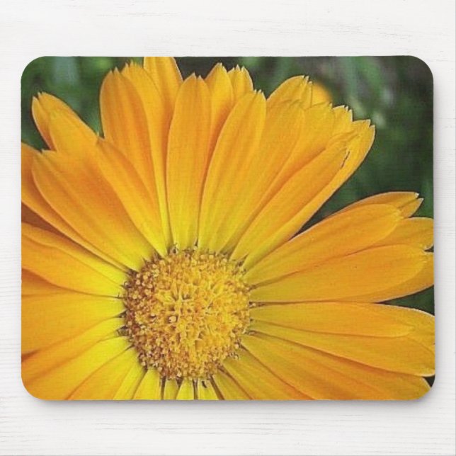 Mousepad Tapete do rato amarelo da margarida (Frente)