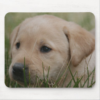 Mousepad Tapete do rato amarelo de labrador retriever