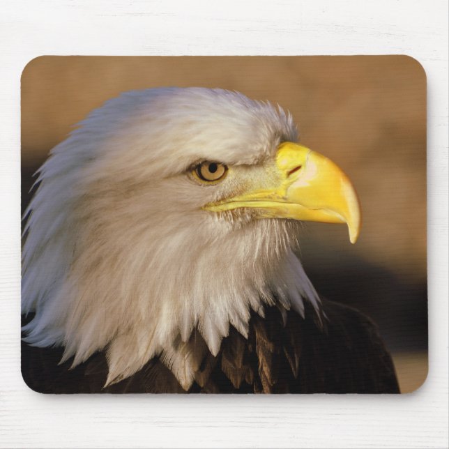 Mousepad Tapete do rato americano da águia americana (Frente)