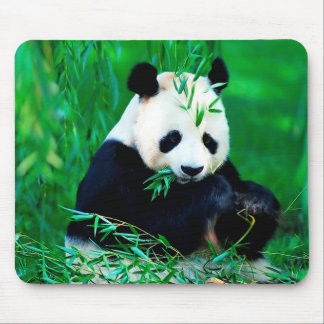 Mousepad Tapete do rato bonito da panda