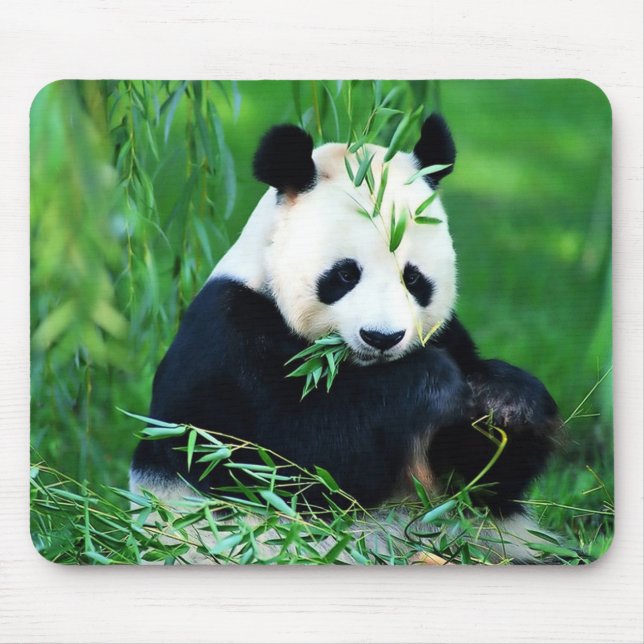 Mousepad Tapete do rato bonito da panda (Frente)