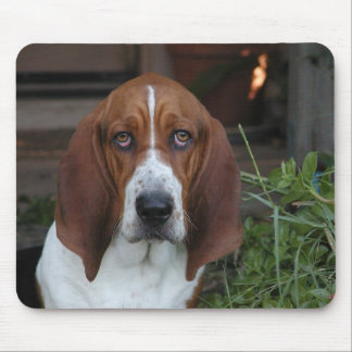 Mousepad Tapete do rato bonito de Basset Hound