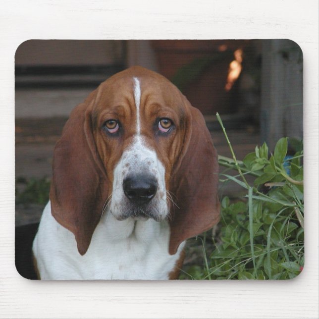 Mousepad Tapete do rato bonito de Basset Hound (Frente)