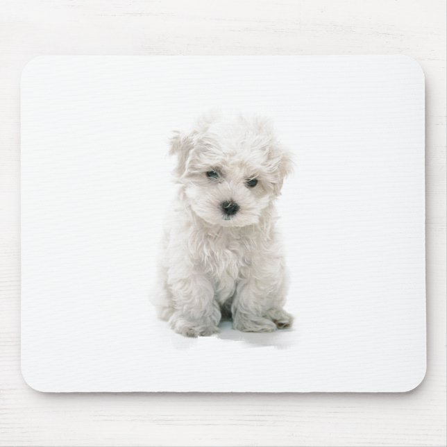 Mousepad Tapete do rato bonito de Bichon Frise (Frente)