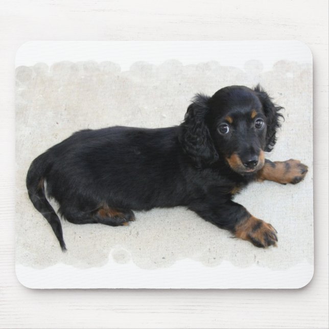 Mousepad Tapete do rato bonito de Daschund (Frente)