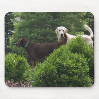 Mousepad Tapete do rato bonito de Labrador