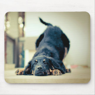 Mousepad Tapete do rato bonito do cão