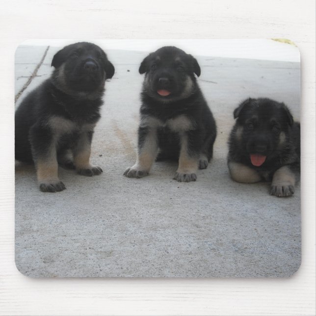 Mousepad Tapete do rato bonito do filhote de cachorro do (Frente)