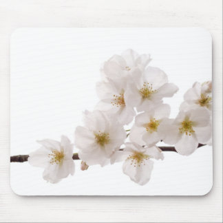 Mousepad Tapete do rato branco bonito das flores de