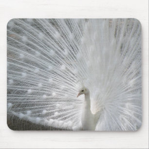 Mousepad Tapete do rato branco do pavão