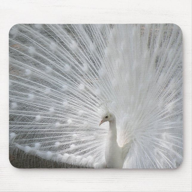 Mousepad Tapete do rato branco do pavão (Frente)