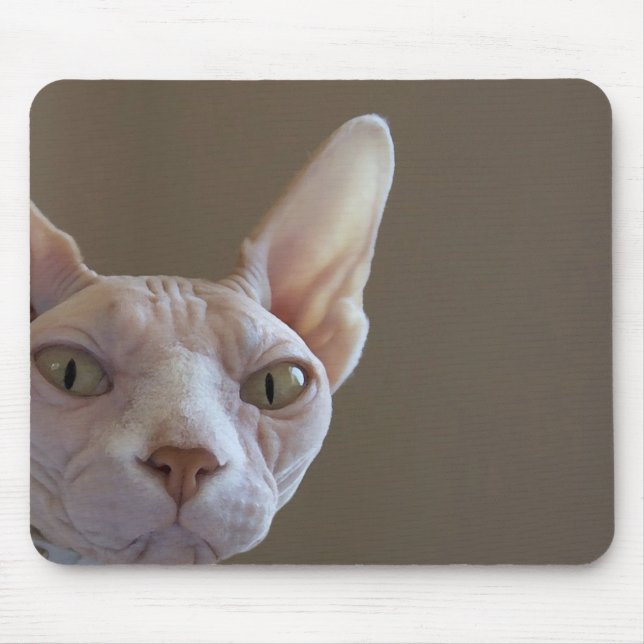 Mousepad Tapete do rato calvo do gato (Frente)