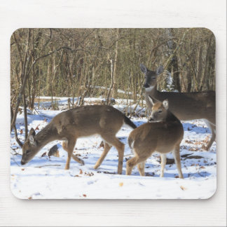 Mousepad Tapete do rato - cervo de Whitetail