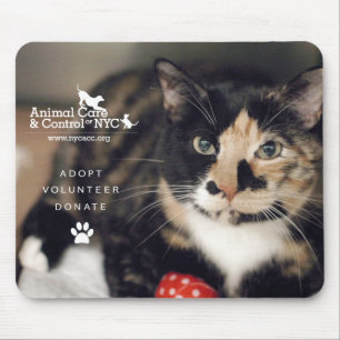 Mousepad Tapete do rato "chita "