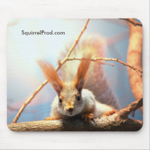 Mousepad Tapete do rato com esquilo