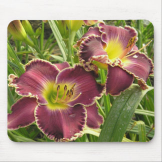 Mousepad Tapete do rato com pares de hemerocallis roxos