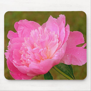 Mousepad Tapete do rato cor-de-rosa bonito da peônia