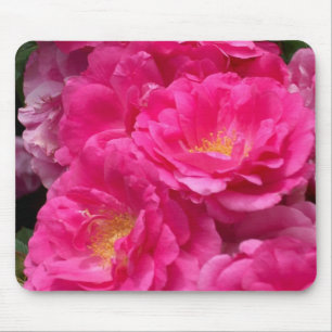 Mousepad Tapete do rato cor-de-rosa dos rosas