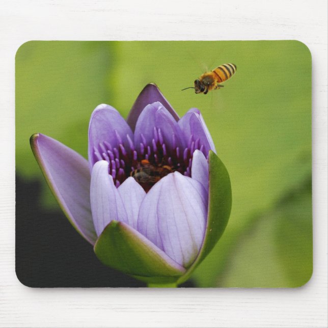 Mousepad Tapete do rato da abelha e da flor (Frente)