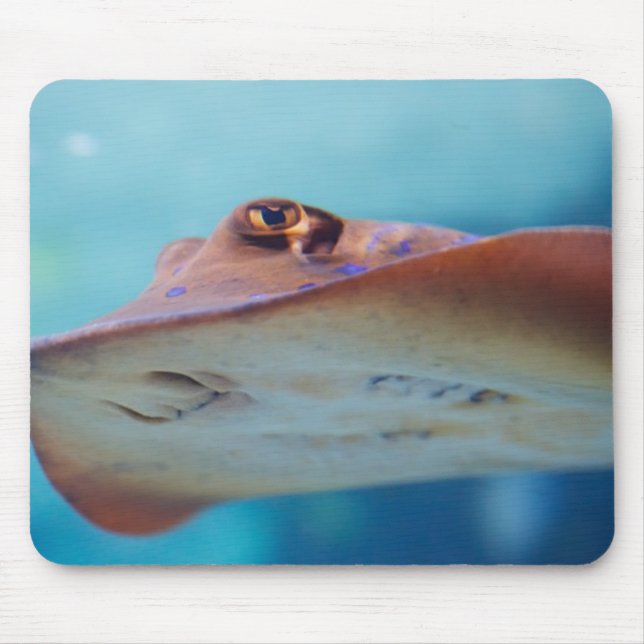 Mousepad Tapete do rato da arraia-lixa (Frente)