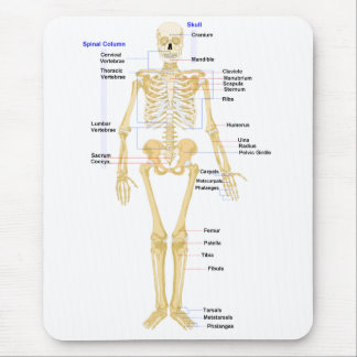 Mousepad Tapete do rato da biologia