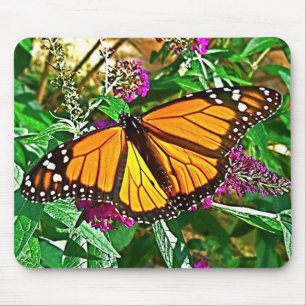 Mousepad Tapete do rato da borboleta de monarca