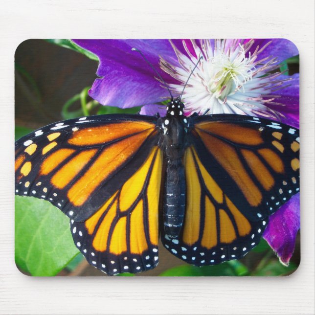 Mousepad Tapete do rato da borboleta do brilho (Frente)