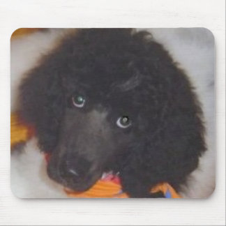 Mousepad Tapete do rato da caniche padrão