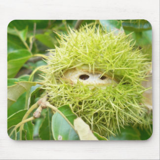 Mousepad Tapete do rato da castanha