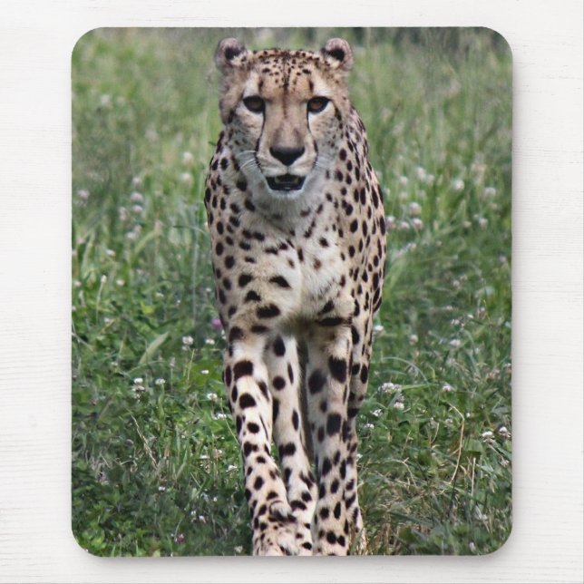 Mousepad Tapete do rato da chita (Frente)