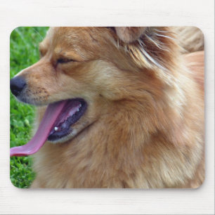 Mousepad Tapete do rato da comida de comida