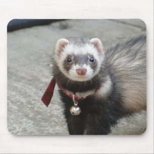 Mousepad tapete do rato da doninha