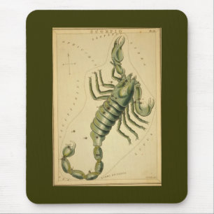 Mousepad Tapete do rato da Escorpião