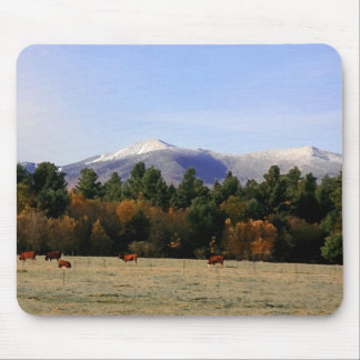 Mousepad Tapete do rato da fazenda de Adirondack