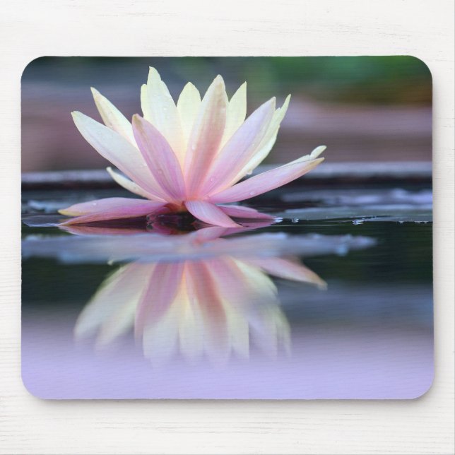 Mousepad Tapete do rato da flor de Lotus (Frente)